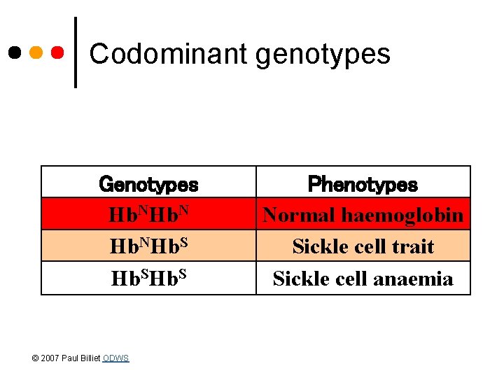 Codominant genotypes Genotypes Hb. NHb. S © 2007 Paul Billiet ODWS Phenotypes Normal haemoglobin