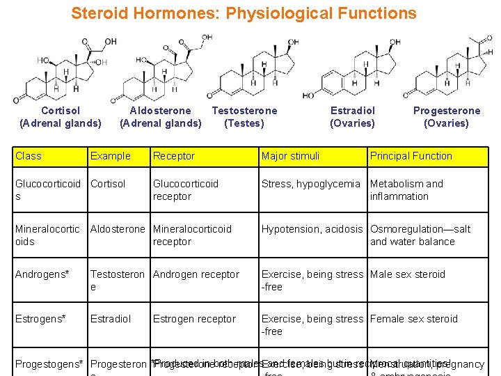 Steroid Hormones: Physiological Functions Cortisol (Adrenal glands) Class Aldosterone Testosterone (Adrenal glands) (Testes) Example