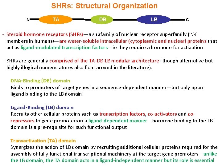 SHRs: Structural Organization N TA DB LB C - Steroid hormone receptors (SHRs)—a subfamily