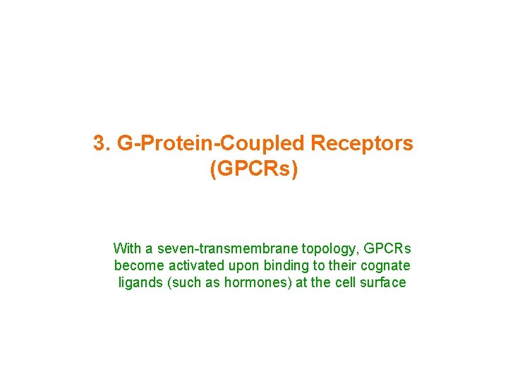 3. G-Protein-Coupled Receptors (GPCRs) With a seven-transmembrane topology, GPCRs become activated upon binding to