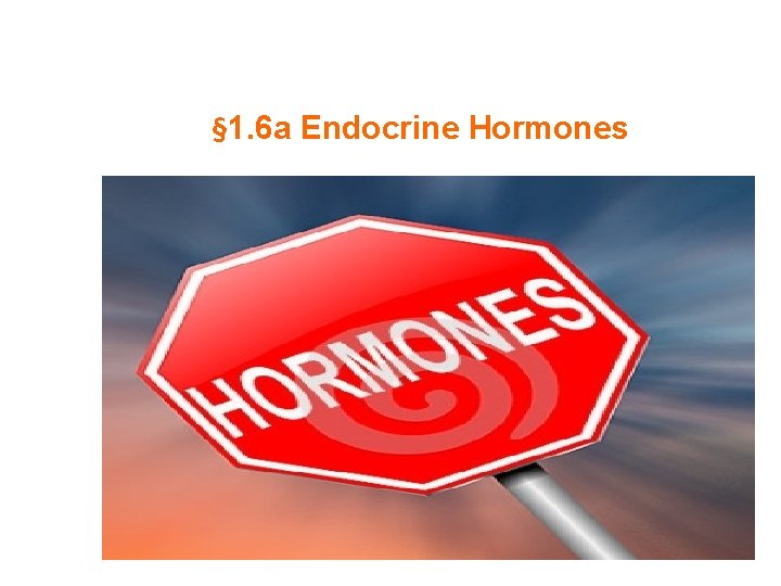 § 1. 6 a Endocrine Hormones 