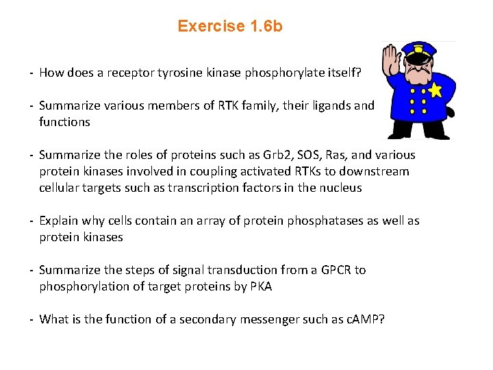 Exercise 1. 6 b - How does a receptor tyrosine kinase phosphorylate itself? -