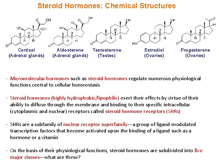 Steroid Hormones: Chemical Structures Cortisol (Adrenal glands) Aldosterone Testosterone (Adrenal glands) (Testes) Estradiol (Ovaries)