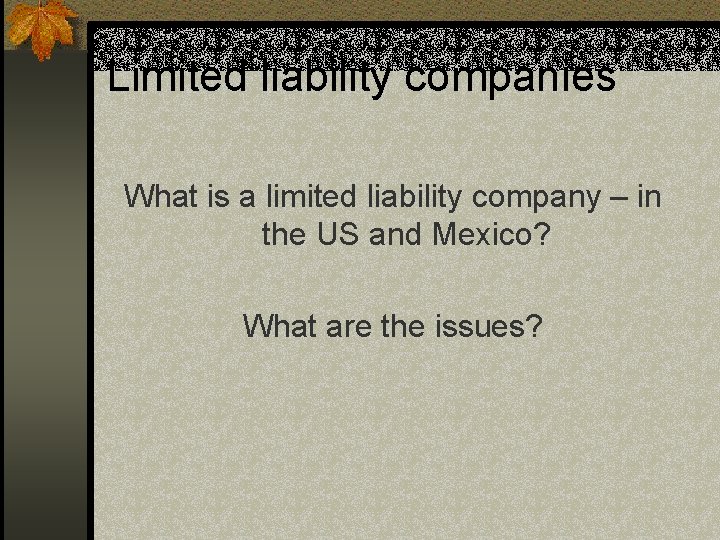 Limited liability companies What is a limited liability company – in the US and