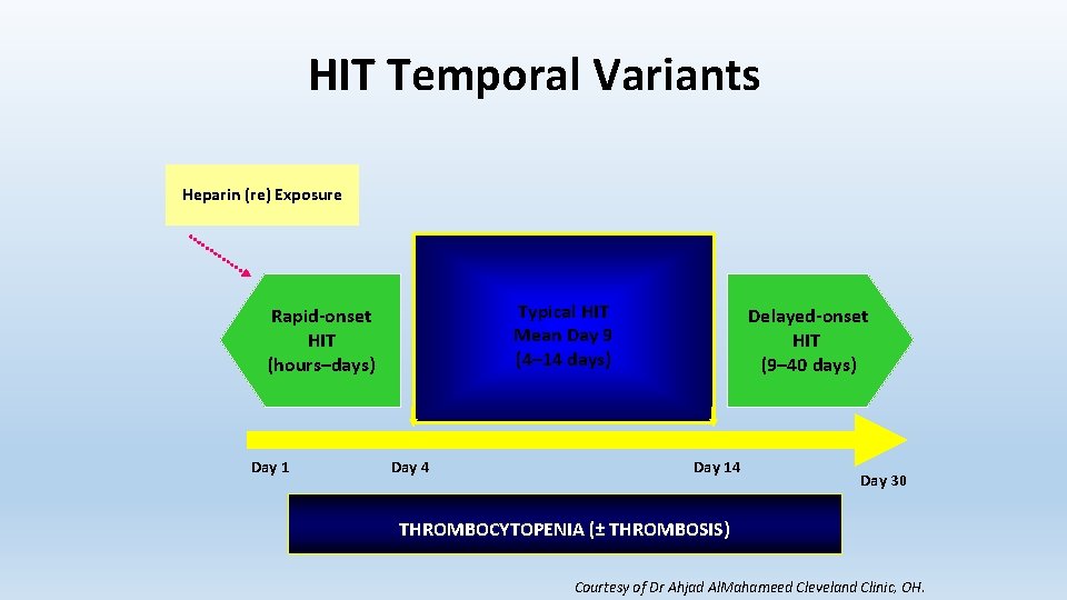 HIT Temporal Variants Heparin (re) Exposure Typical HIT Mean Day 9 (4– 14 days)