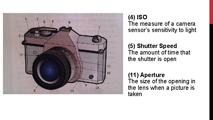 (4) ISO The measure of a camera sensor’s sensitivity to light (5) Shutter Speed