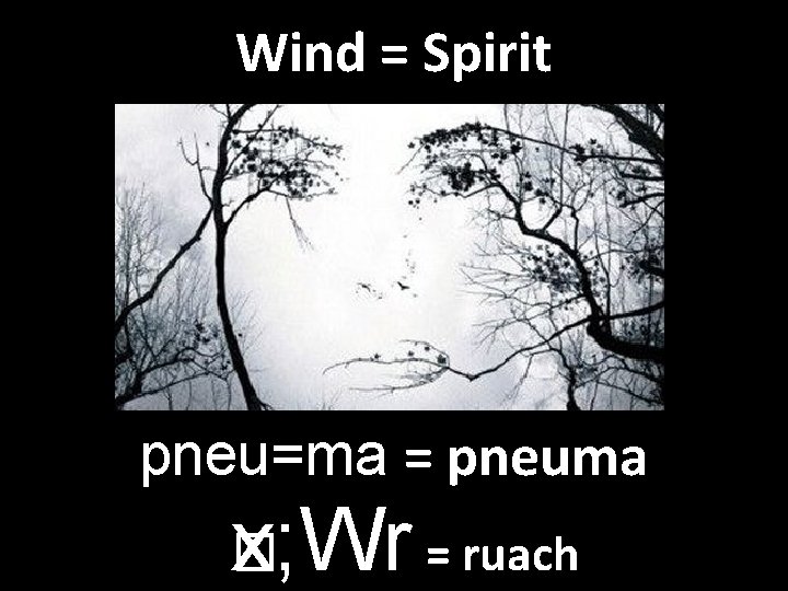 Wind = Spirit pneu=ma = pneuma x; Wr = ruach � 