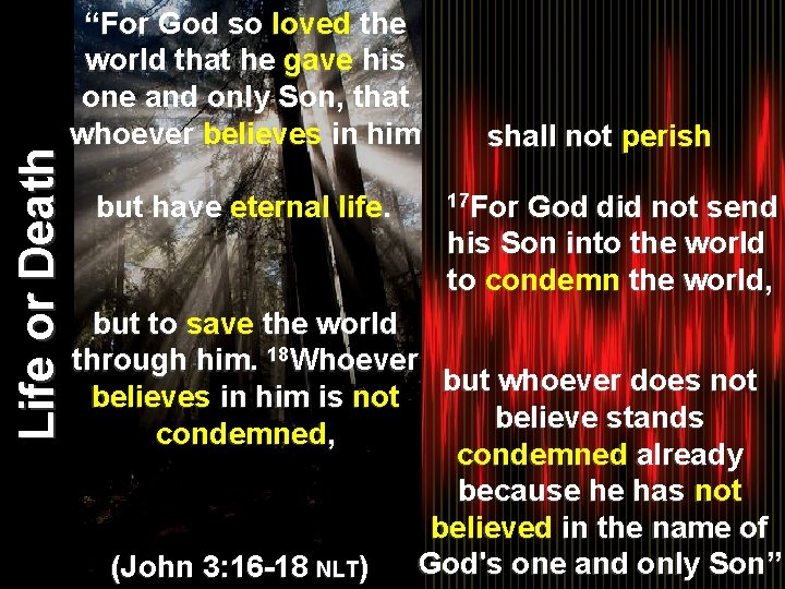 Life or Death “For God so loved the world that he gave his one