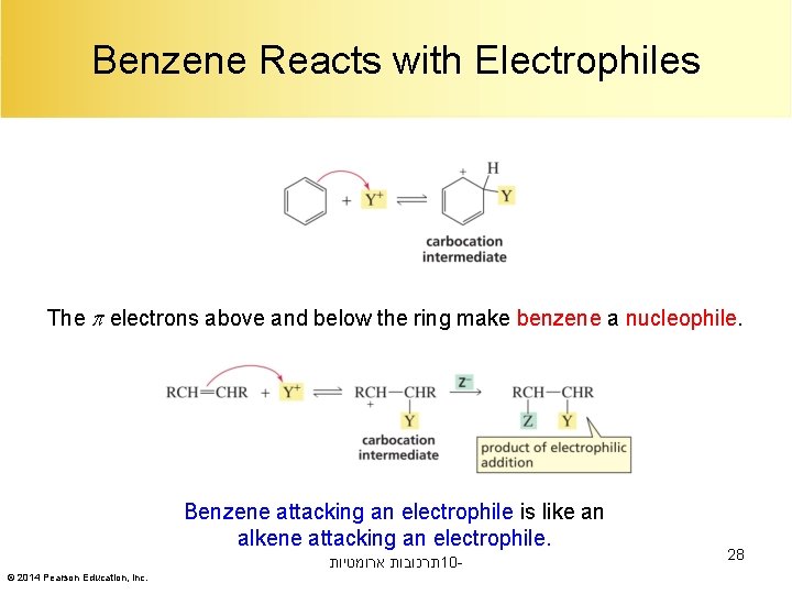 Benzene Reacts with Electrophiles The electrons above and below the ring make benzene a