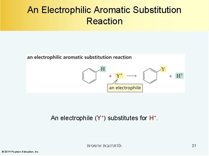 An Electrophilic Aromatic Substitution Reaction An electrophile (Y+) substitutes for H+. תרכובות ארומטיות 10©