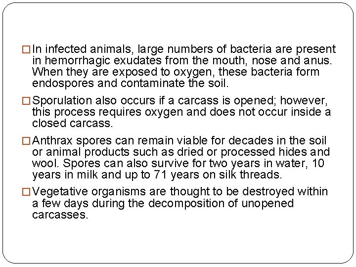 � In infected animals, large numbers of bacteria are present in hemorrhagic exudates from