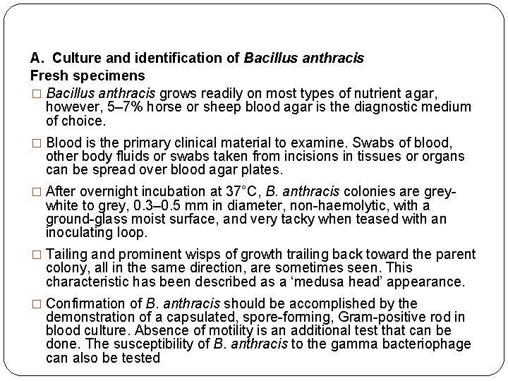 A. Culture and identification of Bacillus anthracis Fresh specimens � Bacillus anthracis grows readily