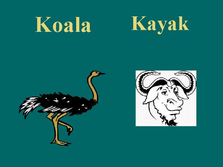 Koala Kayak 