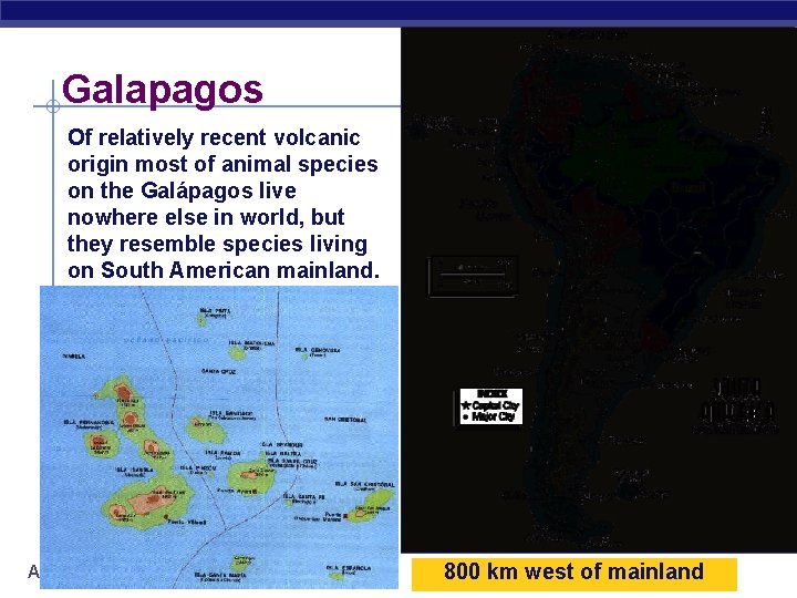 Galapagos Of relatively recent volcanic origin most of animal species on the Galápagos live