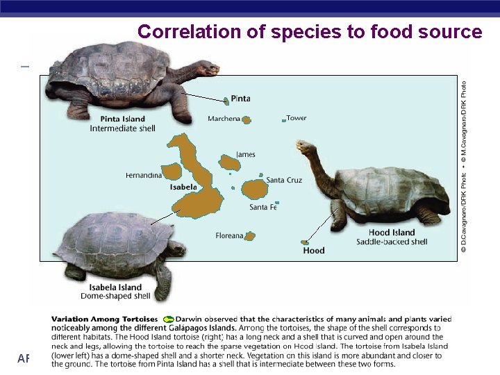Correlation of species to food source AP Biology 
