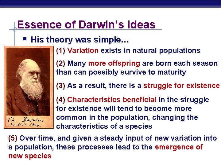 Essence of Darwin’s ideas § His theory was simple… (1) Variation exists in natural