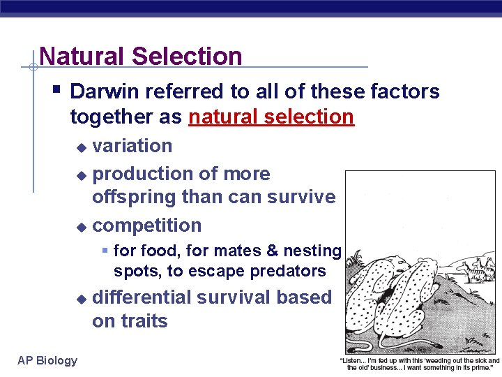 Natural Selection § Darwin referred to all of these factors together as natural selection