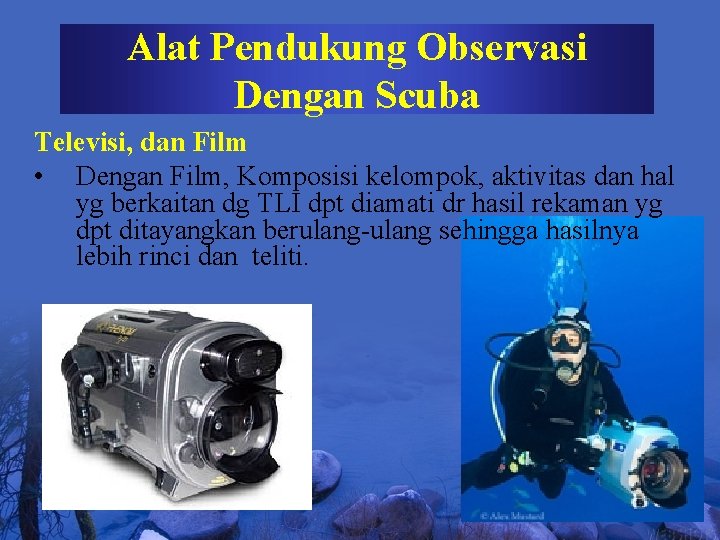 Alat Pendukung Observasi Dengan Scuba Televisi, dan Film • Dengan Film, Komposisi kelompok, aktivitas