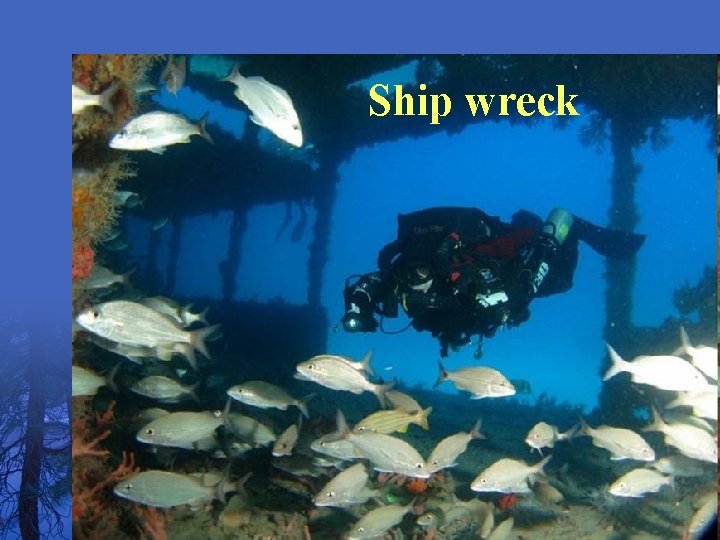 Ship wreck 