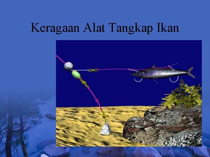 Keragaan Alat Tangkap Ikan 