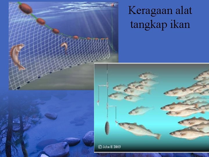 Keragaan alat tangkap ikan 