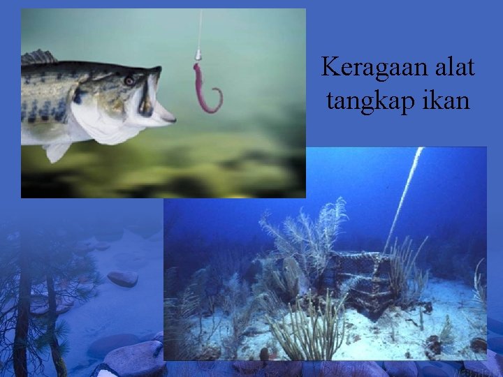 Keragaan alat tangkap ikan 