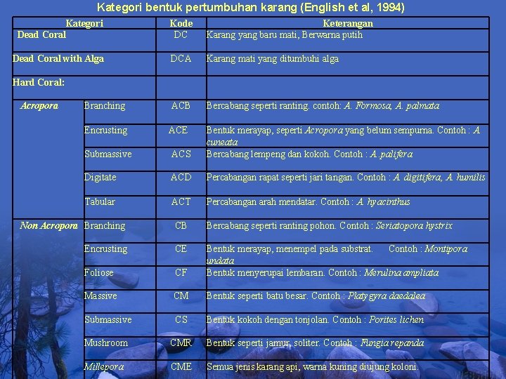 Kategori bentuk pertumbuhan karang (English et al, 1994) Kategori Dead Coral Kode DC Keterangan