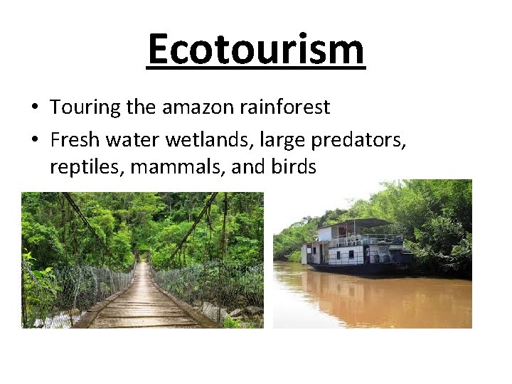 Ecotourism • Touring the amazon rainforest • Fresh water wetlands, large predators, reptiles, mammals,