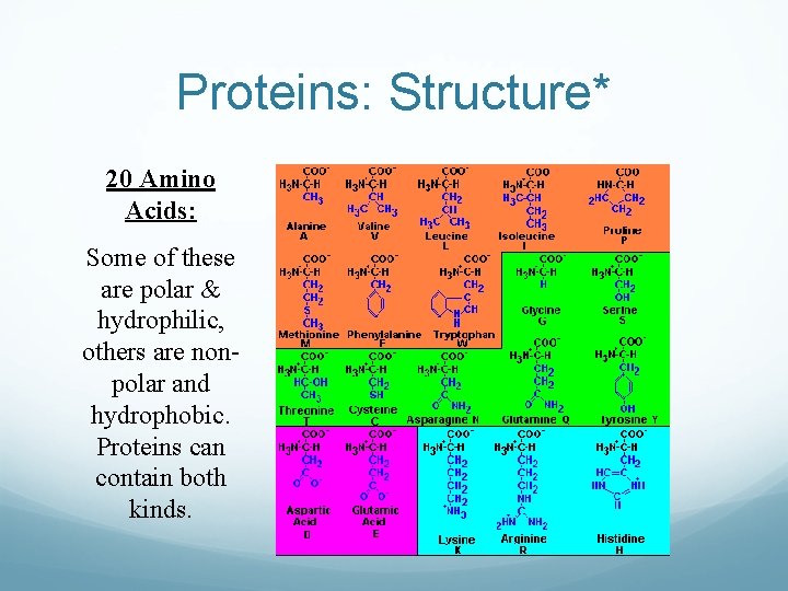 Proteins: Structure* 20 Amino Acids: Some of these are polar & hydrophilic, others are