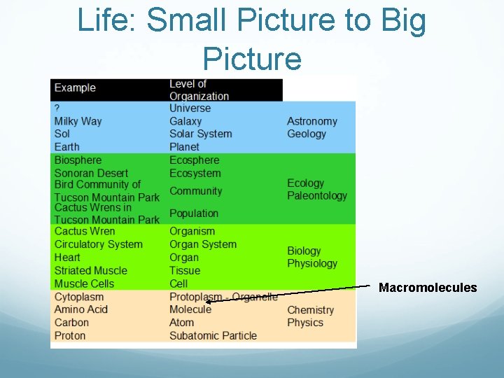 Life: Small Picture to Big Picture Macromolecules 