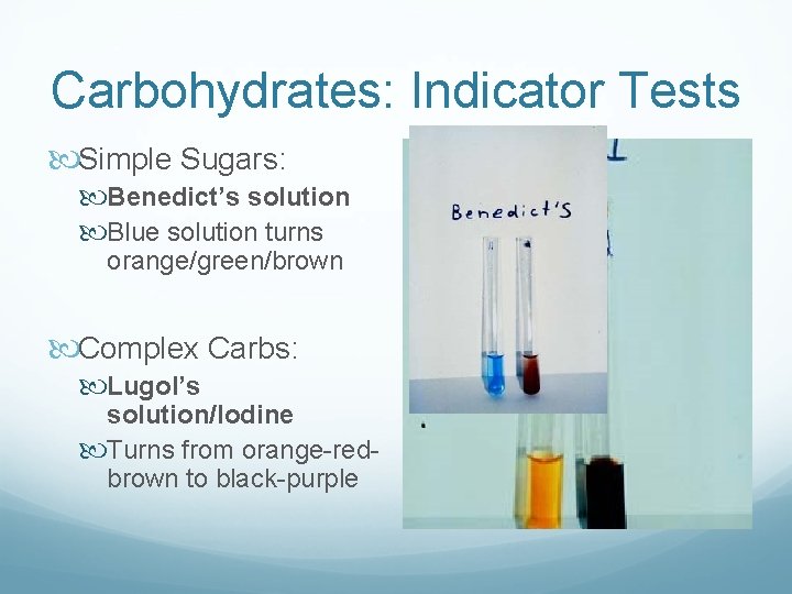 Carbohydrates: Indicator Tests Simple Sugars: Benedict’s solution Blue solution turns orange/green/brown Complex Carbs: Lugol’s