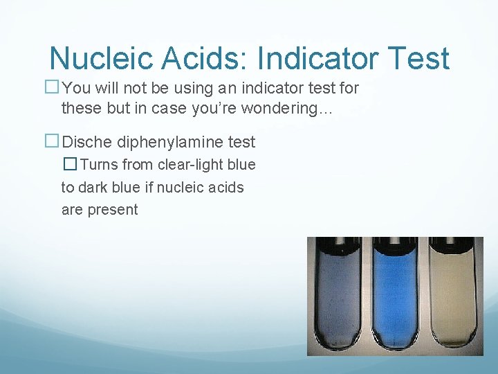 Nucleic Acids: Indicator Test �You will not be using an indicator test for these