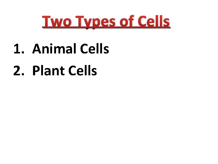 Two Types of Cells 1. Animal Cells 2. Plant Cells 