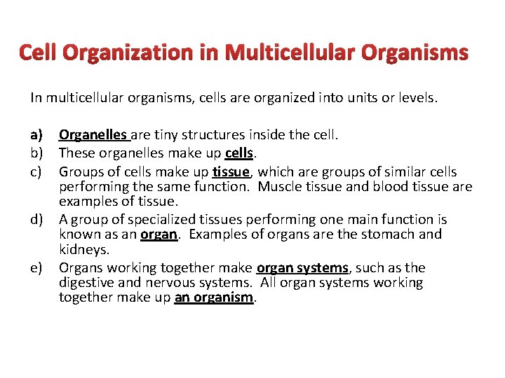 Cell Organization in Multicellular Organisms In multicellular organisms, cells are organized into units or