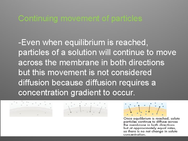 Continuing movement of particles -Even when equilibrium is reached, particles of a solution will