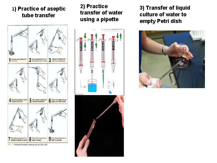 1) Practice of aseptic tube transfer 2) Practice transfer of water using a pipette