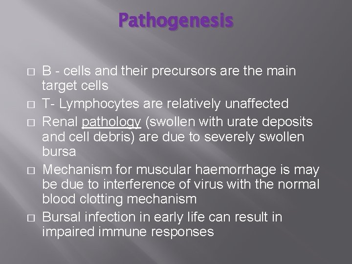 Pathogenesis � � � B - cells and their precursors are the main target