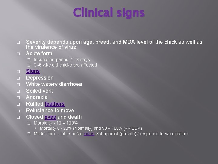 Clinical signs � � Severity depends upon age, breed, and MDA level of the