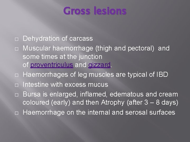 Gross lesions � � � Dehydration of carcass Muscular haemorrhage (thigh and pectoral) and