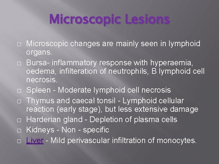 Microscopic Lesions � � � � Microscopic changes are mainly seen in lymphoid organs.