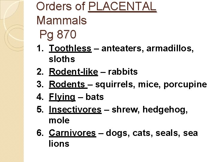 Orders of PLACENTAL Mammals Pg 870 1. Toothless – anteaters, armadillos, sloths 2. Rodent-like