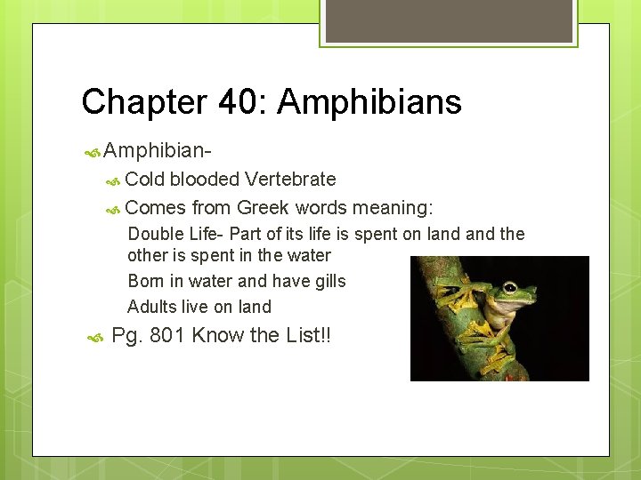 Chapter 40: Amphibians Amphibian Cold blooded Vertebrate Comes from Greek words meaning: Double Life-