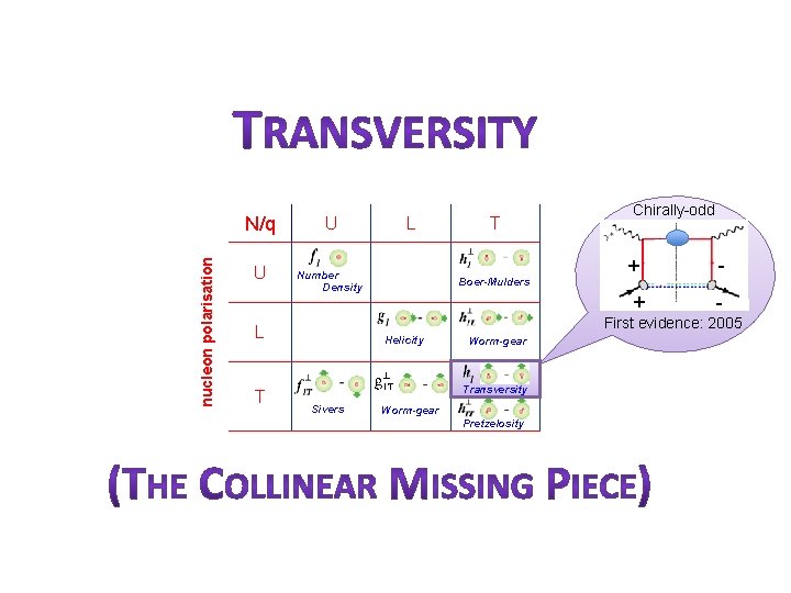 nucleon polarisation N/q U U Number Density T Boer-Mulders + - First evidence: 2005