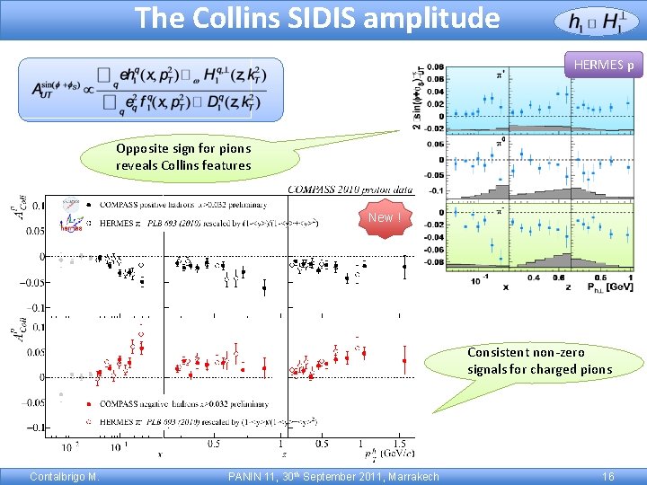 The Collins SIDIS amplitude HERMES p Opposite sign for pions reveals Collins features New