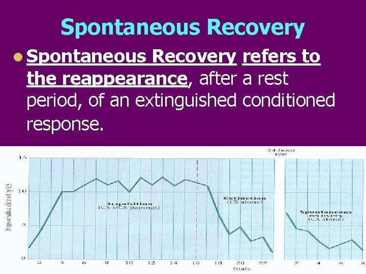 Spontaneous Recovery l Spontaneous Recovery refers to the reappearance, after a rest period, of