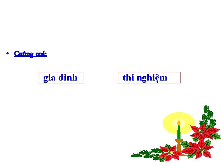  • Cuûng coá: gia đình thí nghiệm 