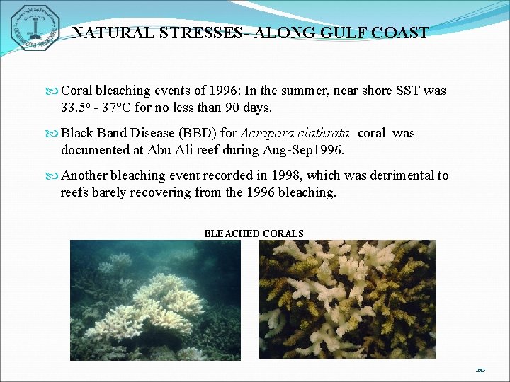 NATURAL STRESSES- ALONG GULF COAST Coral bleaching events of 1996: In the summer, near