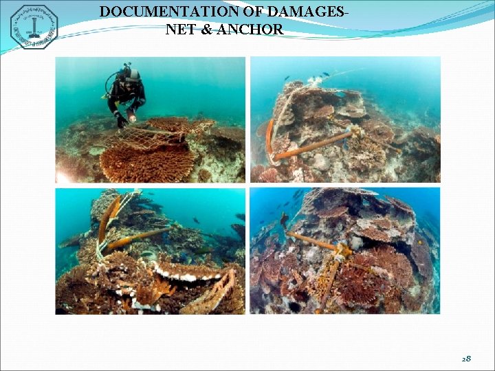 DOCUMENTATION OF DAMAGESNET & ANCHOR 28 