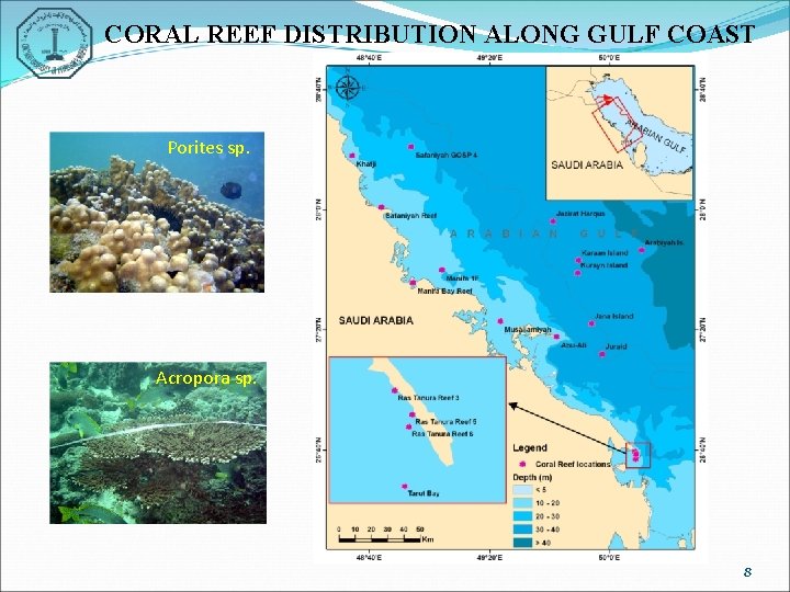 CORAL REEF DISTRIBUTION ALONG GULF COAST Porites sp. Acropora sp. 8 