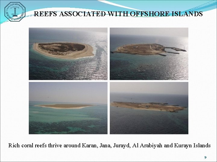 REEFS ASSOCIATED WITH OFFSHORE ISLANDS Rich coral reefs thrive around Karan, Jana, Jurayd, Al
